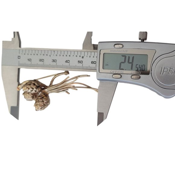 1-20 12K GF Gold Filled Pine Cone Limb Brooch E580 - Picture 7 of 9